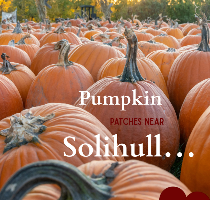 Pumpkin Picking Near Solihull: Autumn Family Fun